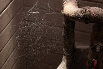 Cobweb near wall and rusty pipes of water supply indoors