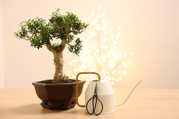 Beautiful bonsai tree in pot, watering can and scissors on wooden table