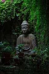 Buddha statue in a lush green foliage