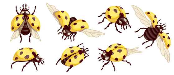Set of flying insects yellow ladybug.Vector graphics.