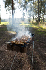 Sizzling BBQ skewers on a rustic grill amidst a tranquil forest setting, smoke curling upwards in the golden light of day