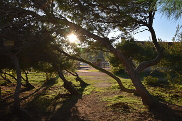 Landscapes along the coast of corsika