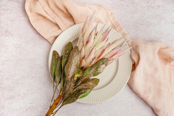 Plate with beautiful pink protea flower on light background