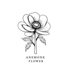 Anemone flower vector illustration suitable for floral designs, botanical prints, themed graphics nature inspired. Vibrant and versatile graphic for various visual and creative purposes.