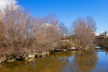 Landscape of Public Felipe VI Park or Valdebebas Forest Park - Madrid’s biggest urban park (340 hectares). Madrid, Spain.