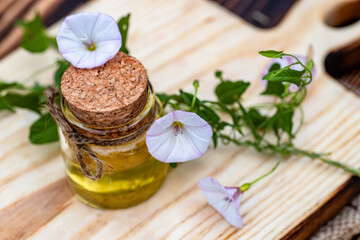 Convolvulus arvensis, or field bindweed near a medicine vial with a cork stopper with an elixir from an infusion of herbs.