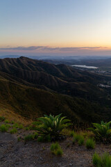 agave americana plant in Casupo mountain in Venezuela