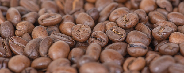 Roasted coffee beans as a background. Macro photo of coffee. Arabica. Banner background size.