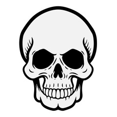 Skull vector illustration