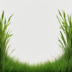 green grass on a white background with space at the center