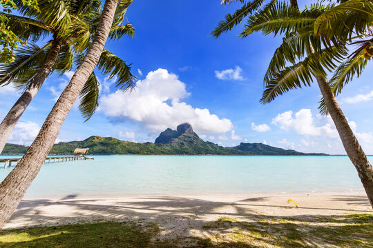 Beach with palms and lagoon of Bora Bora, French Polynesia
