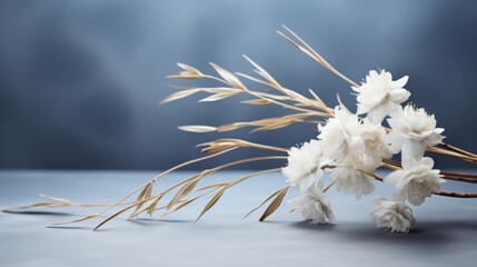 Soft white cotton flowers and dried wheat on a cool gray surface, a minimalist still life evoking a sense of calm and natural simplicity.