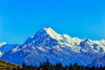 NZ Mt Cook peak over forest