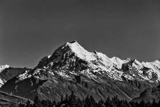 NZ Mt Cook peak over forest BW