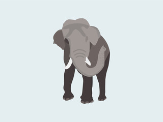 Fototapeta premium African elephant Indian elephant vector head lodge gray standing animals wild