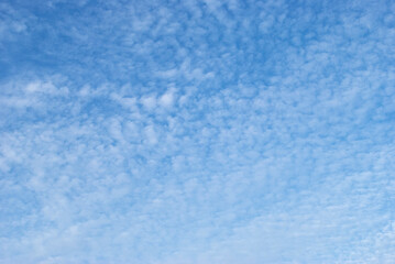 Fototapeta na wymiar gentle air clouds in the blue sky
