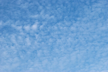 Fototapeta premium gentle air clouds in the blue sky