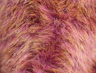Close up textured background of pink and orange plush fabric
