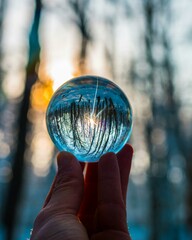 Esfera de cristal apreciada en el bosque