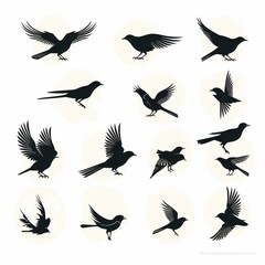 Beautiful birds logo design silhouettes isolated white background image Ai generated art