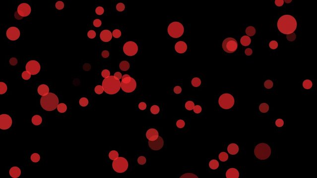 bokeh red light flying bubbles.  Format quick time alpha rgb, video codec animation.