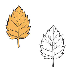 a Fall Leaf vector illustrations. Leaves Fall. Drawing  with line art.  Simple Design Outline Style. You can give color you like