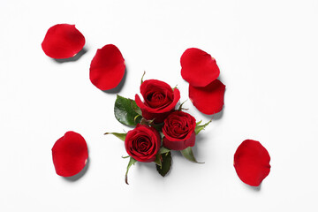 Beautiful red roses and petals on white background, top view