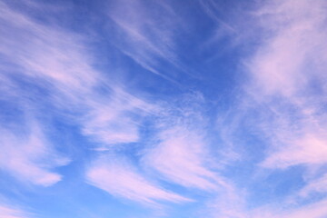 刷毛で描いたような雲