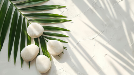 White Stones and Palm Leaves on Textured Background.