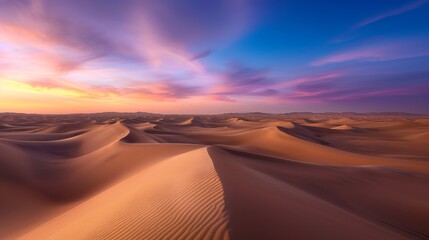 Fototapeta na wymiar Vast Desert Landscape With Sand Dunes and
