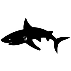 shark silhouette isolated illustrator