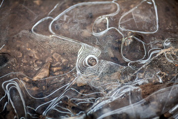 Ice Design on the Border of a Lake