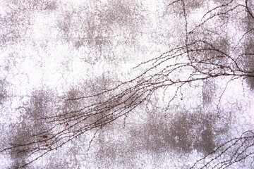 壁のツタ模様がデザイン的な古い倉庫