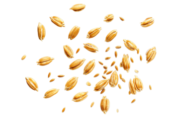 Wheat-themed background and pattern featuring wheat ears