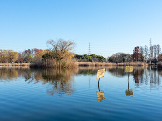 【東京都】冬の舎人公園
