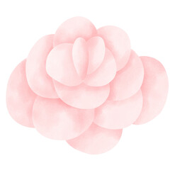 Fototapeta premium Flowers 