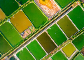 Aerial view of shrimp breeding farms in Giao Thuy, Namdinh, Vietnam