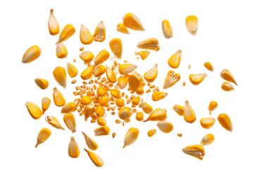 seeds corn flew isolated on white background