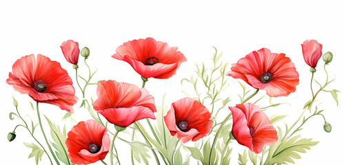 Red poppies banner, copy space, floral wallpaper soft watercolor illustration for invitation / card making / wedding invitation for spring or mother's day celebration
