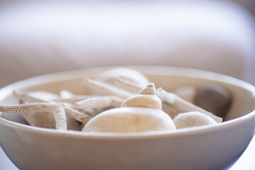 Seashells, Tasteful, Arrangement, Home Decor, Interior Design