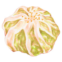 garlic chive dumpling, watercolor asian food design