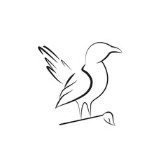 bird logo, bird template, bird design outline style