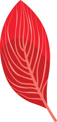 Red leaf detailed illustration with vein patterns. Flat design autumn foliage vector illustration.