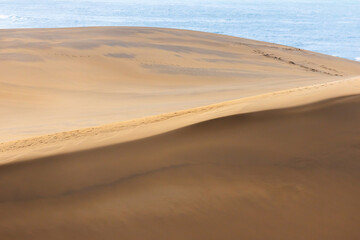 砂丘　　sand dunes, vast dune hills　