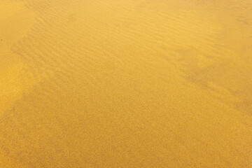 砂丘　　sand dunes, vast dune hills　