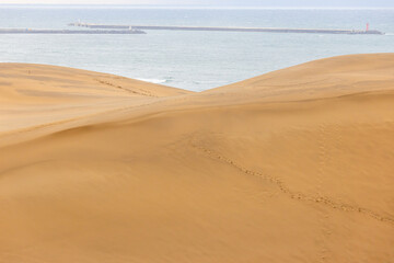 Fototapeta na wymiar 砂丘　　sand dunes, vast dune hills　
