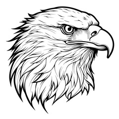 Eagle Head Line Art Illustration
