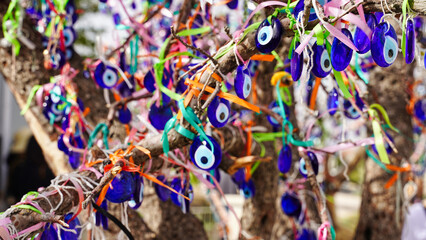 A Wish Tree or Dilek Agaci in Turkish with evil eye pendants to ward off negative energy and fulfil...