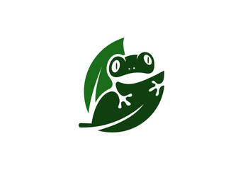 logo illustration of a frog on a leaf