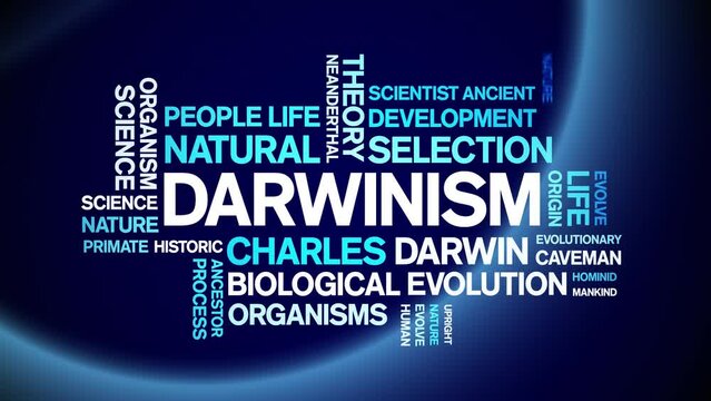 Darwinism animated tag word cloud;text design animation kinetic typography seamless loop.